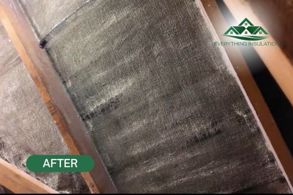 Loft Foam Removal